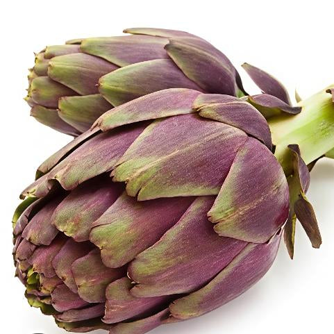 Carciofo violetto Siciliano