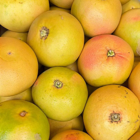 Pompelmo Rosa di Sicilia