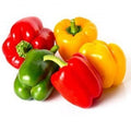 Peperoni Siciliani