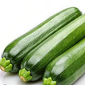 Zucchina Verde Siciliana
